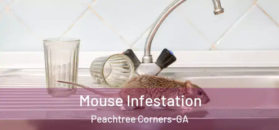  Mouse Infestation Peachtree Corners-GA