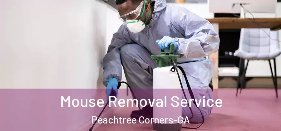 Mouse Removal Service Peachtree Corners-GA