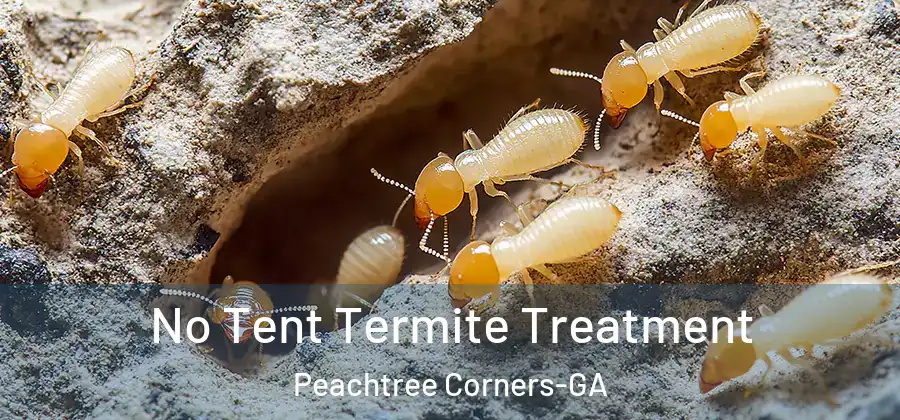 No Tent Termite Treatment Peachtree Corners-GA