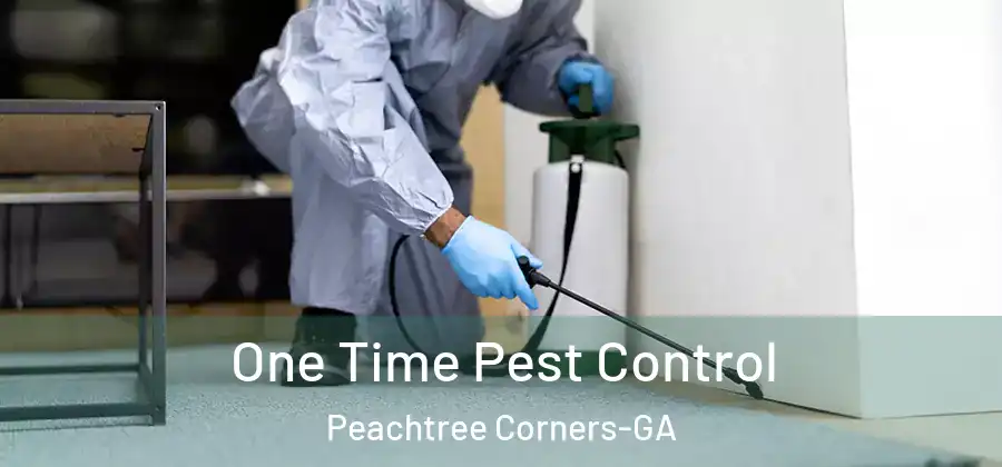  One Time Pest Control Peachtree Corners-GA