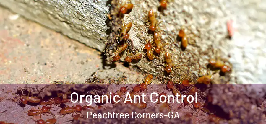 Organic Ant Control Peachtree Corners-GA