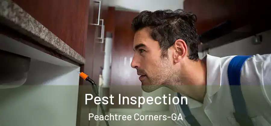 Pest Inspection Peachtree Corners-GA