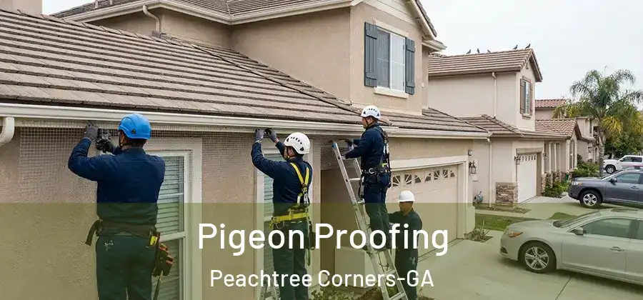  Pigeon Proofing Peachtree Corners-GA