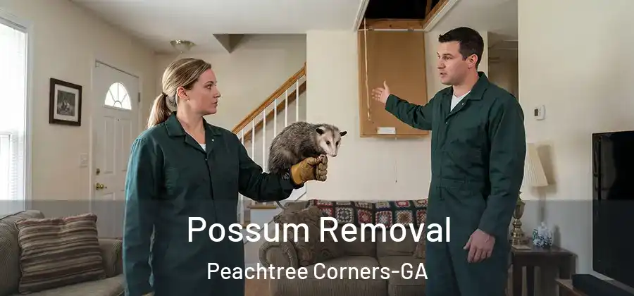 Possum Removal Peachtree Corners-GA