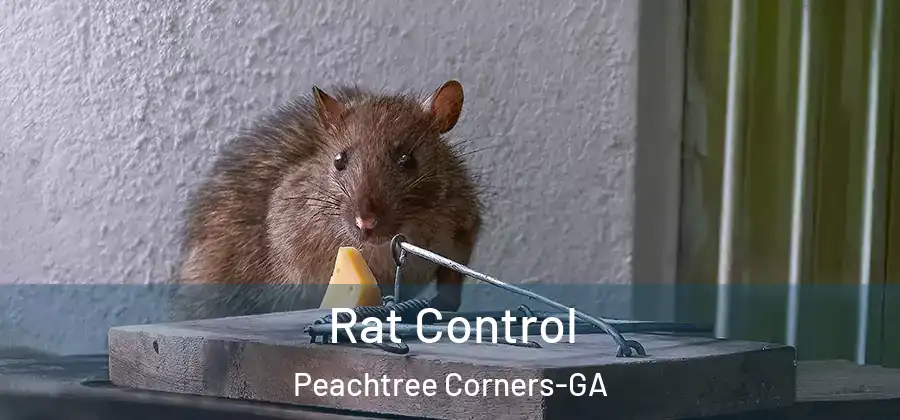  Rat Control Peachtree Corners-GA