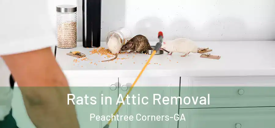 Rats in Attic Removal Peachtree Corners-GA