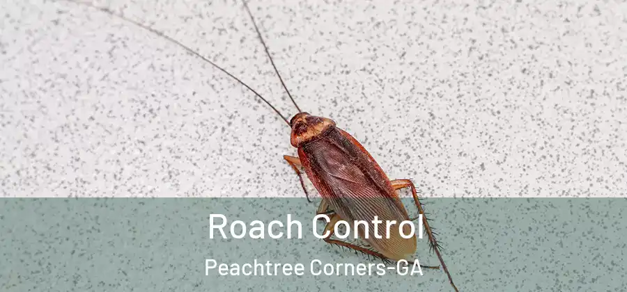 Roach Control Peachtree Corners-GA