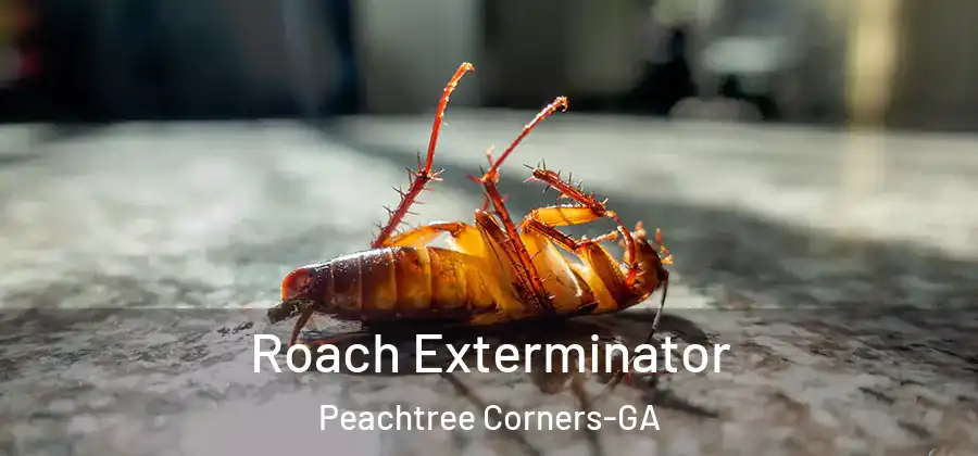 Roach Exterminator Peachtree Corners-GA