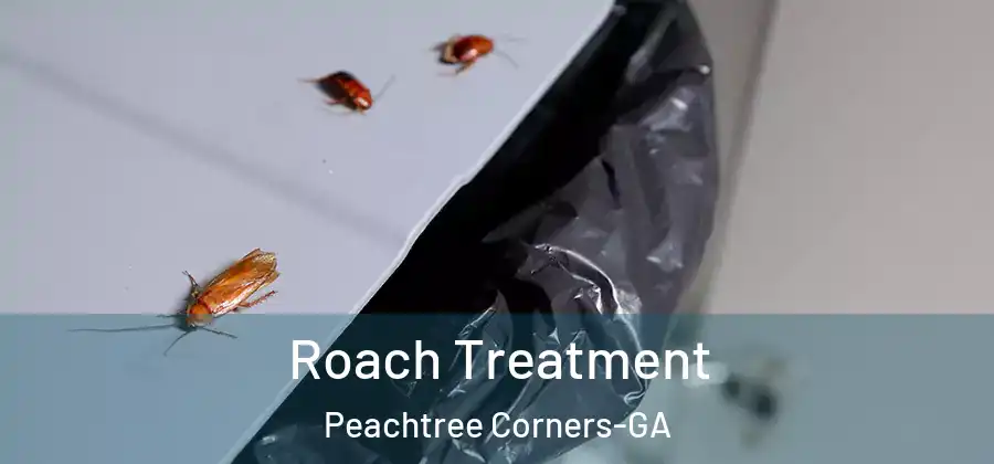  Roach Treatment Peachtree Corners-GA