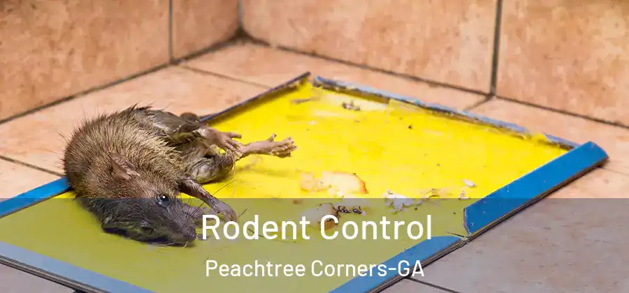  Rodent Control Peachtree Corners-GA