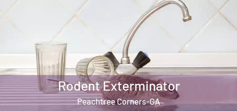  Rodent Exterminator Peachtree Corners-GA