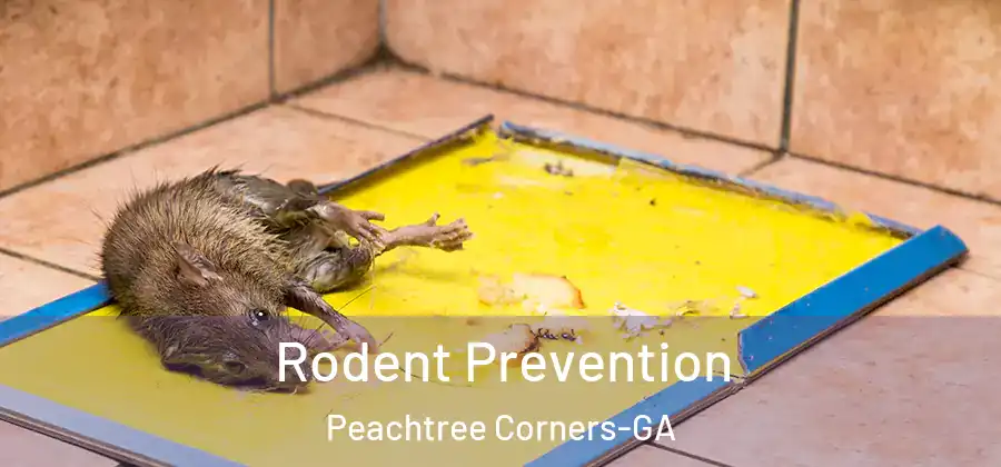 Rodent Prevention Peachtree Corners-GA