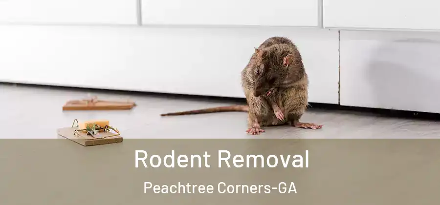 Rodent Removal Peachtree Corners-GA