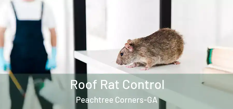 Roof Rat Control Peachtree Corners-GA