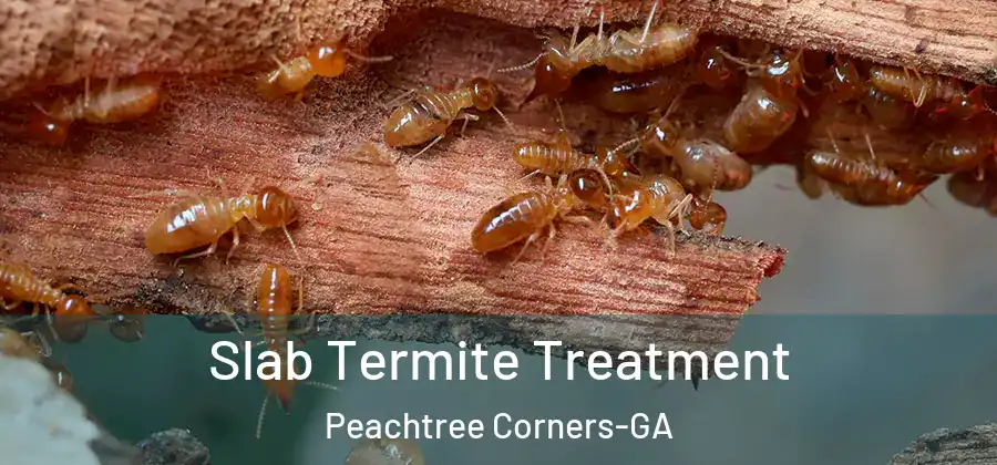  Slab Termite Treatment Peachtree Corners-GA