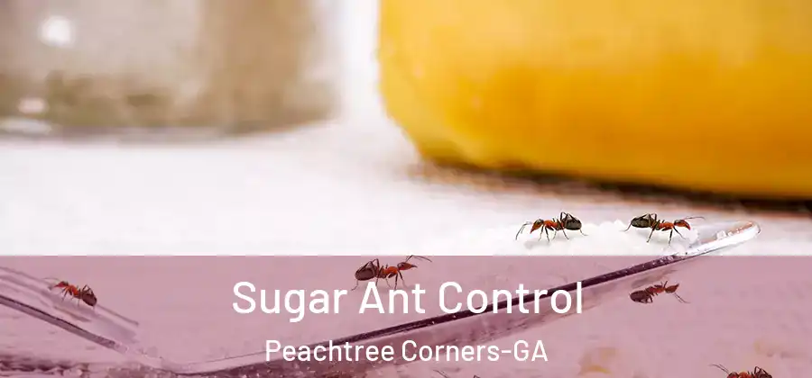  Sugar Ant Control Peachtree Corners-GA