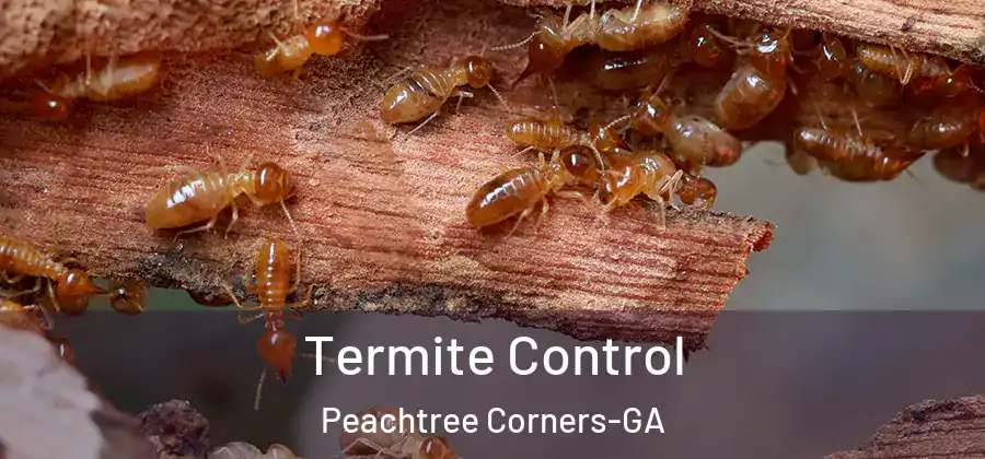  Termite Control Peachtree Corners-GA