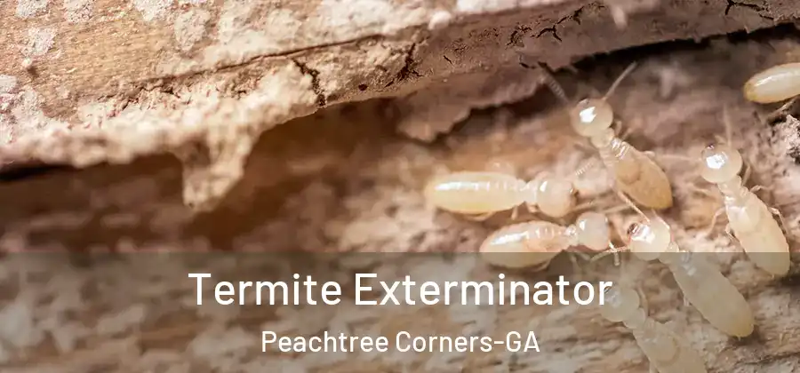  Termite Exterminator Peachtree Corners-GA