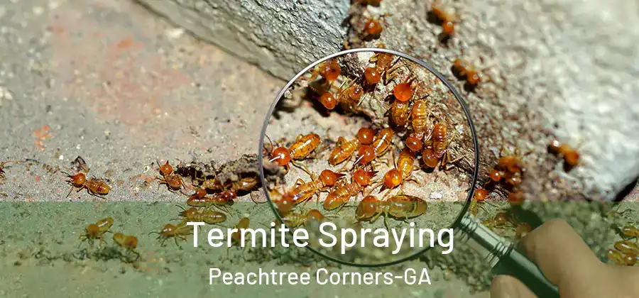 Termite Spraying Peachtree Corners-GA