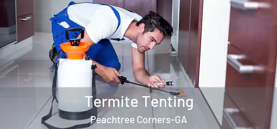 Termite Tenting Peachtree Corners-GA