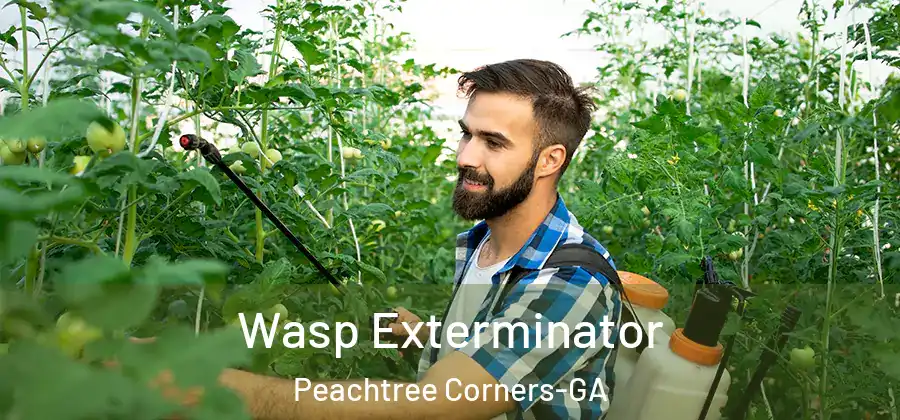  Wasp Exterminator Peachtree Corners-GA