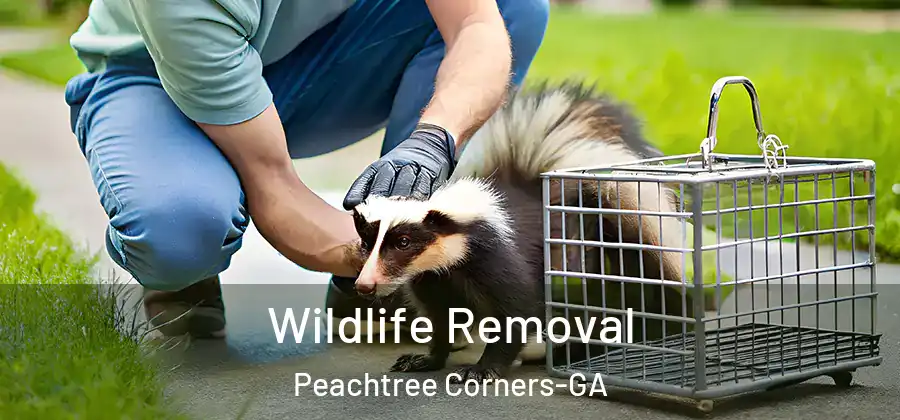 Wildlife Removal Peachtree Corners-GA