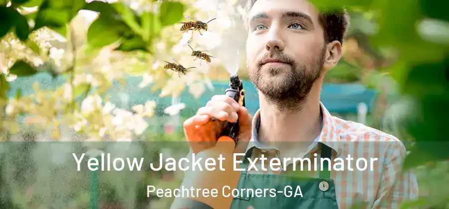 Yellow Jacket Exterminator Peachtree Corners-GA
