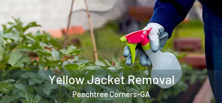  Yellow Jacket Removal Peachtree Corners-GA